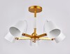 Миниатюра фото потолочная люстра ambrella light tr3101 | 220svet.ru