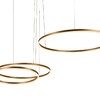 Миниатюра фото подвесной светодиодный светильник loft it ring 10017/3l | 220svet.ru