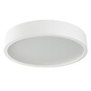 Миниатюра фото настенные потолочные светильники kanlux jasmin 470-w/m 23128 | 220svet.ru
