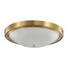 Миниатюра фото настенно-потолочный светильник lumion nina 5259/4c | 220svet.ru