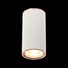 Миниатюра фото потолочный светильник st luce chomus st111.527.01 | 220svet.ru