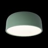 Миниатюра фото потолочный светодиодный светильник loft it axel 10201/350 green | 220svet.ru