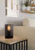 Миниатюра фото настольная лампа eglo colomera 901164 | 220svet.ru