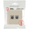 Миниатюра фото розетка эра arktik 16-3110-04 комбинированная rj45+tv шампань б0070497 | 220svet.ru