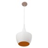 Миниатюра фото подвесной светильник loft it loft1844/b | 220svet.ru
