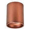Миниатюра фото потолочный светодиодный светильник wertmark stecken ii we804.01.607 | 220svet.ru