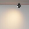 Миниатюра фото трековый светодиодный светильник maytoni cup tr124b-12w3k-b | 220svet.ru