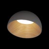 Миниатюра фото потолочный светильник loft it egg 10197/350 grey | 220svet.ru