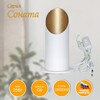 Миниатюра фото настольная лампа элетех соната 1005405284 | 220svet.ru