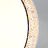 Миниатюра фото потолочный светильник reluce 1434898 | 220svet.ru