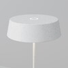 Миниатюра фото уличный переносной аккумуляторный светильник maytoni porto o540tl-l2wcct | 220svet.ru