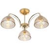 Миниатюра фото потолочная люстра rivoli terri 9172-303 б0060988 | 220svet.ru