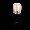 Миниатюра фото торшер st luce burasca sl1050.515.01 | 220svet.ru