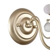 Миниатюра фото бра f-promo bambola 2665-1w | 220svet.ru
