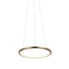 Миниатюра фото подвесной светодиодный светильник loft it ring 10014s | 220svet.ru