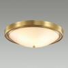 Миниатюра фото настенно-потолочный светильник lumion nina 5259/4c | 220svet.ru