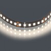 Миниатюра фото светодиодная лента 4000к 24v 12w/m lightstar 420894 | 220svet.ru