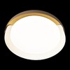 Миниатюра фото потолочный светодиодный светильник loft it coin 10198 white | 220svet.ru
