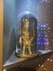 Миниатюра фото крышка-колпак dome small seletti | 220svet.ru