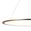 Миниатюра фото подвесной светодиодный светильник loft it ring 10014l | 220svet.ru