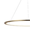 Миниатюра фото подвесной светодиодный светильник loft it 10014xl | 220svet.ru