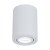 Миниатюра фото потолочный светильник maytoni alfa c016cl-01w | 220svet.ru
