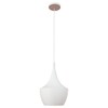 Миниатюра фото подвесной светильник loft it loft1844/b | 220svet.ru