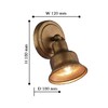 Миниатюра фото спот favourite clochette 2024-1w | 220svet.ru