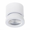 Миниатюра фото светодиодный спот st luce st654.532.10 | 220svet.ru