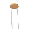 Миниатюра фото подвесной светодиодный светильник loft it ring 10017/3l | 220svet.ru