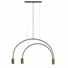Миниатюра фото подвесной светильник loft it 5043-3 | 220svet.ru