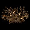 Миниатюра фото потолочная люстра loft it coral 10351/800c ab | 220svet.ru