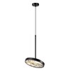 Миниатюра фото подвесной светодиодынй светильник odeon light bergi 5064/15l черный | 220svet.ru