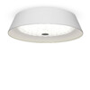 Миниатюра фото потолочный светильник freya cells fr10013cl-l24w | 220svet.ru