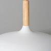 Миниатюра фото подвесной светильник arte lamp kayla a7099sp-1wh | 220svet.ru