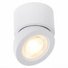 Миниатюра фото светодиодный спот st luce st654.542.10 | 220svet.ru