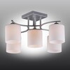 Миниатюра фото потолочная люстра omnilux pisticci oml-55307-05 | 220svet.ru