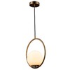Миниатюра фото подвесной светильник loft it glob loft2600-a | 220svet.ru