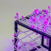 Миниатюра фото гирлянда нить с колпачком 10м фиолетовая 24в, 100 led, провод прозрачный пвх, ip65 ltc pst100cap-10-1pu | 220svet.ru