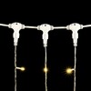 Миниатюра фото гирлянда занавес 1 x 6 м шампань с мерцанием белого диода, 600 led, провод прозрачный пвх, ip54 ltc pcl601blw-10-2ch | 220svet.ru