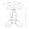Миниатюра фото спот lucide picto 17997/01/35 | 220svet.ru