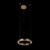 Миниатюра фото подвесной светодиодный светильник loft it ring 10013s | 220svet.ru