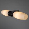 Миниатюра фото подсветка для зеркал arte lamp aqua a1209ap-2cc | 220svet.ru