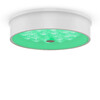 Миниатюра фото потолочный светильник freya cells fr10011cl-l24w | 220svet.ru