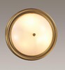 Миниатюра фото настенно-потолочный светильник lumion nina 5259/3c | 220svet.ru