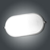 Миниатюра фото потолочный светильник элетех банник 1005500938 ip65 | 220svet.ru