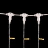 Миниатюра фото гирлянда занавес с колпачком 1 x 6 м тепло-белый 220в, 600 led, провод прозрачный пвх, ip65 ltc pcl601cap-10-2ww | 220svet.ru