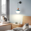 Миниатюра фото настенный светильник imperium loft pompon 209090-23 | 220svet.ru