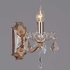 Миниатюра фото бра reluce 06315-0.2-01 fgd+cl | 220svet.ru