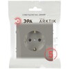 Миниатюра фото розетка эра arktik 16-2101-07 с заземлением 2p+e schuko 16а-250в титан б0070420 | 220svet.ru